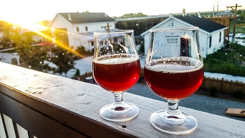 8 Fun and Unique Things to do in Fort Collins, CO